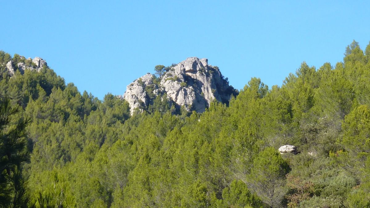 La Roquebrussanne, les Molières