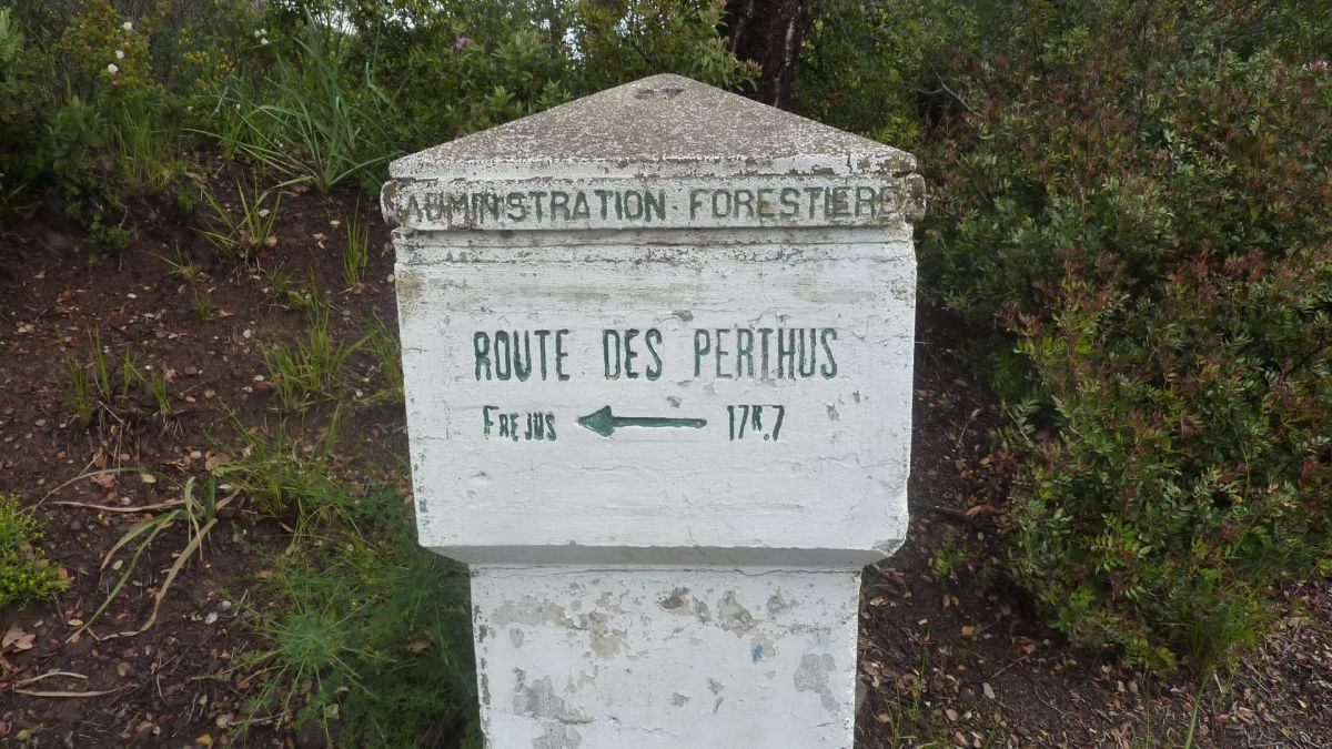 Estérel, vallon du Perthus