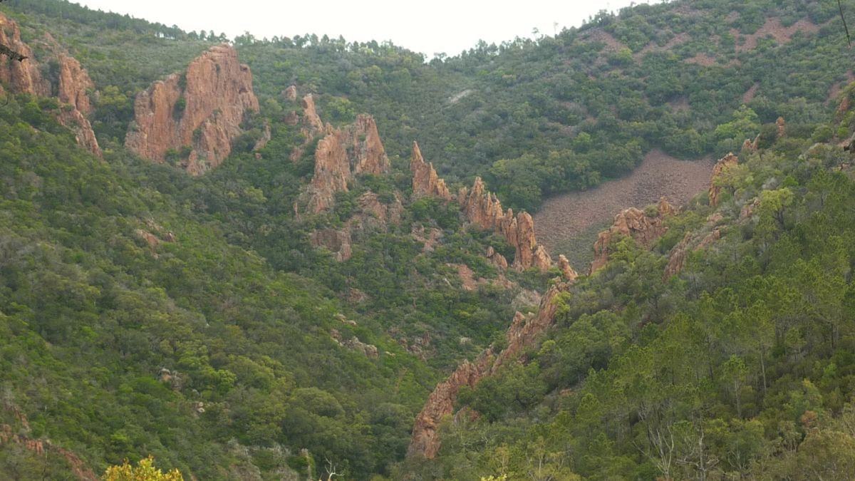 Estérel, vallon du Perthus