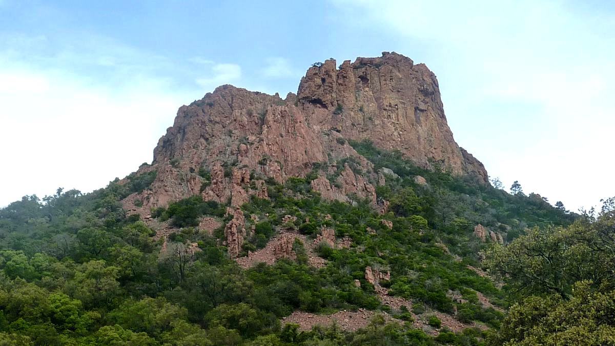 Estérel, vallon du Perthus