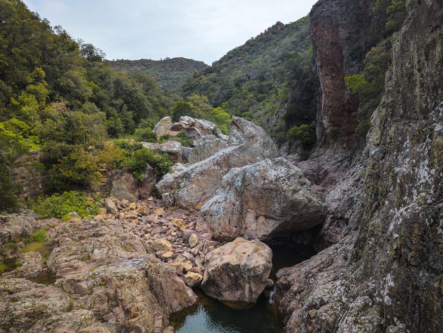 Estérel, vallon du Perthus