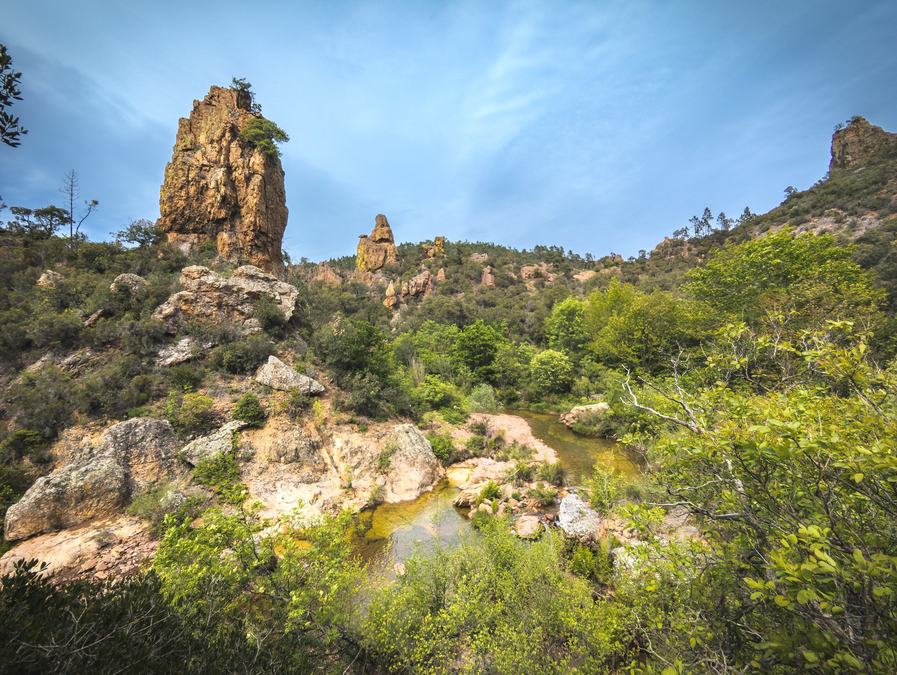 Estérel, vallon du Perthus