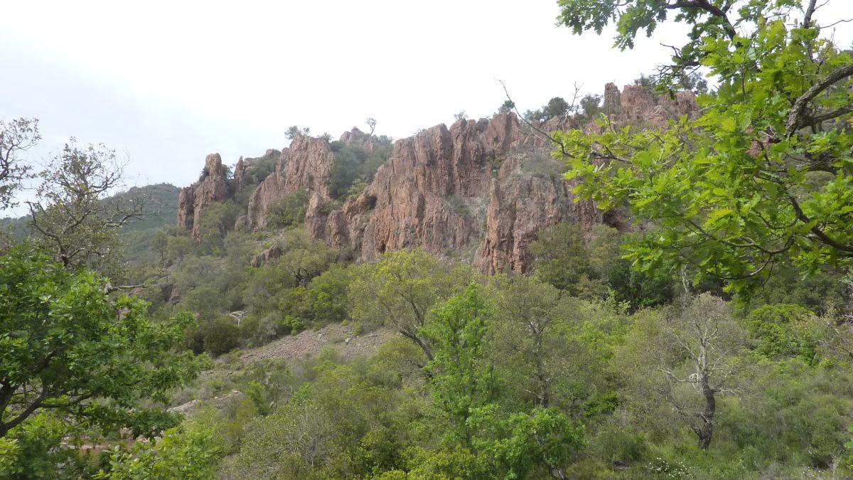 Estérel, vallon du Perthus