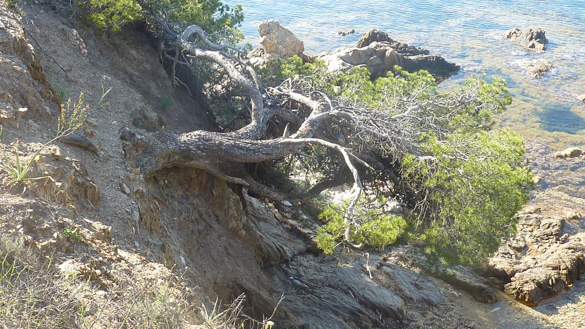 La Londe, Brégançon