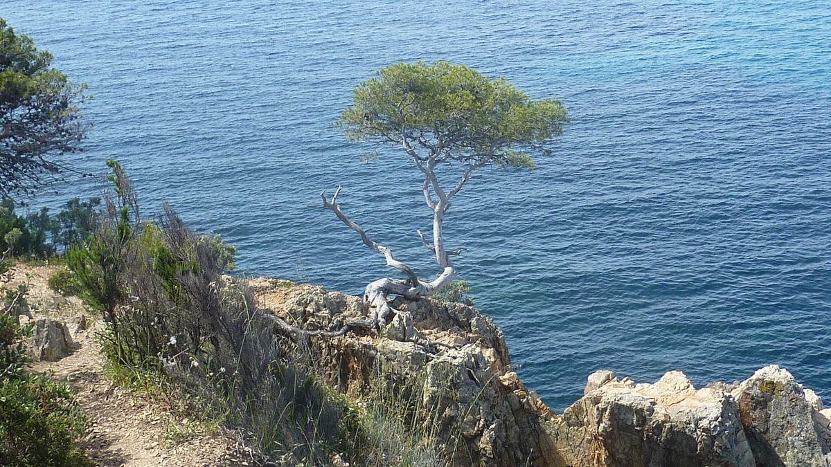 La Londe, Brégançon