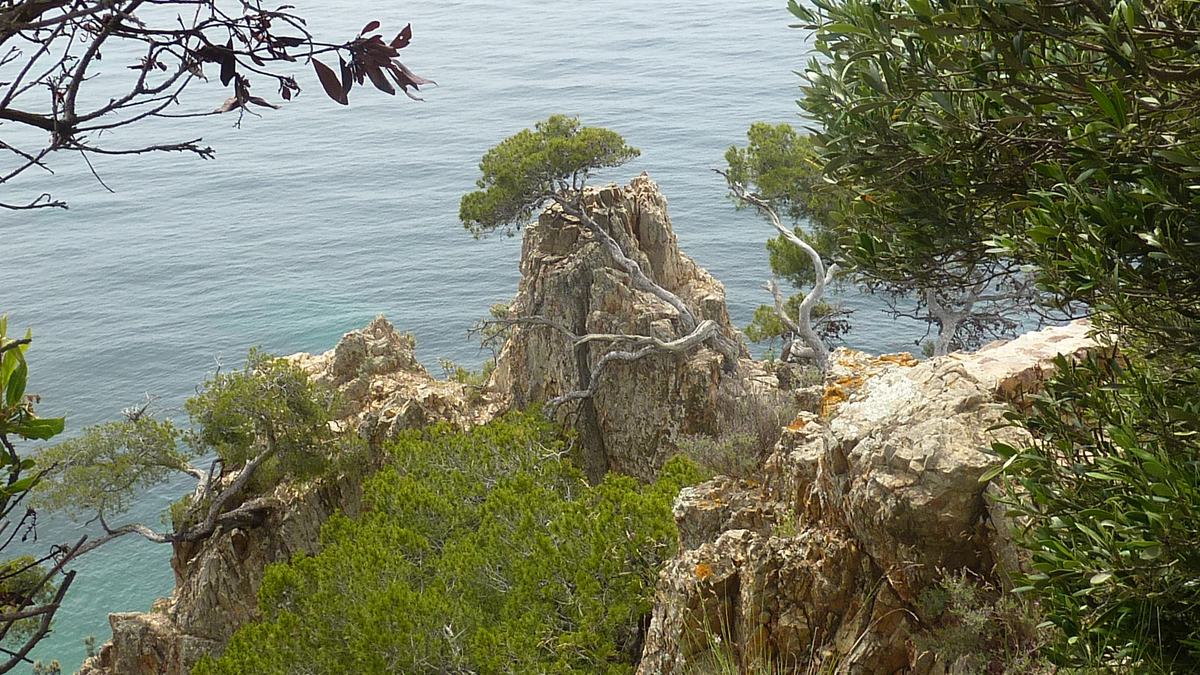 La Londe, Brégançon