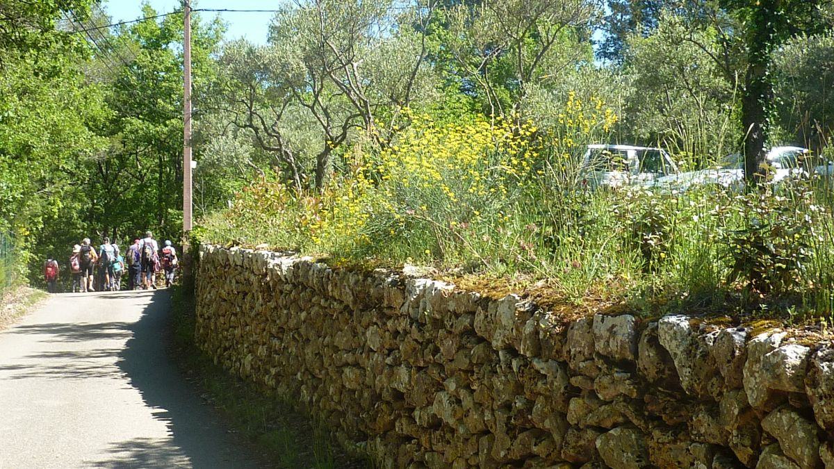 Barjols, Pontevès