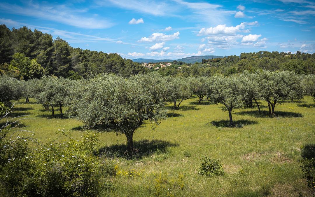 Barjols, Pontevès