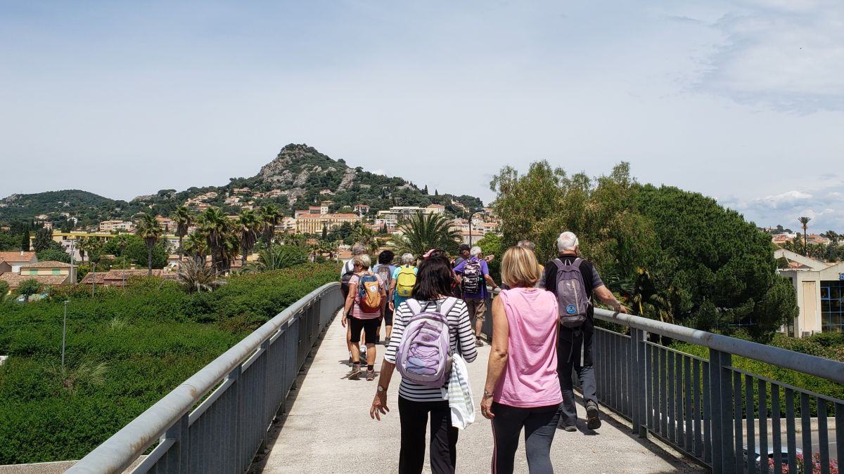 Hyères, Maison du
						terroir