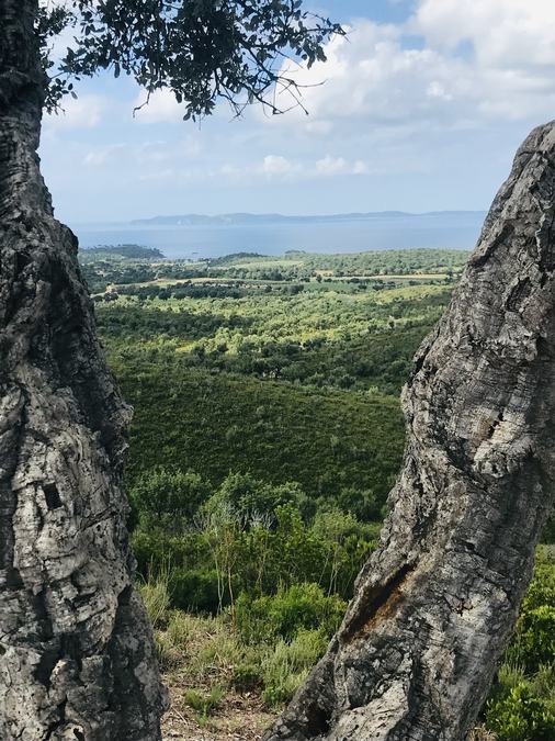 La	Londe, le Trapan