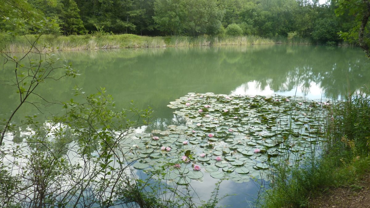 Montrieux, la font de l’Evoué