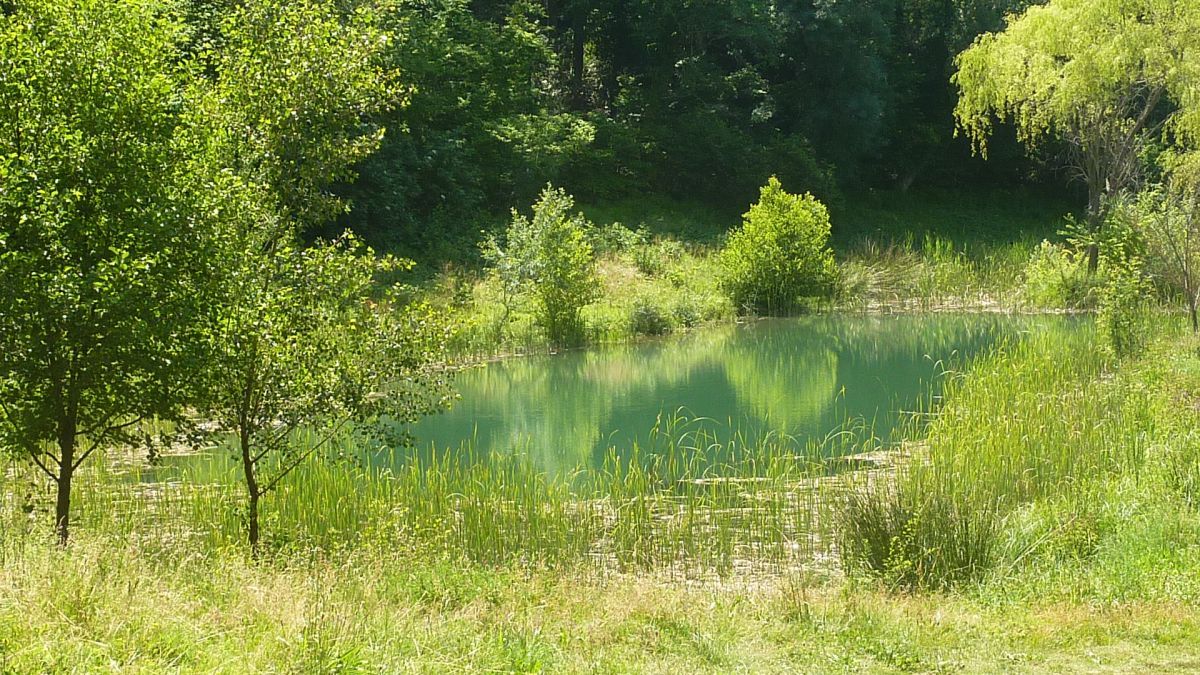 Montrieux, la font de l’Evoué