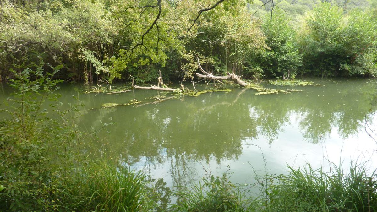 Carcès, le tour du lac