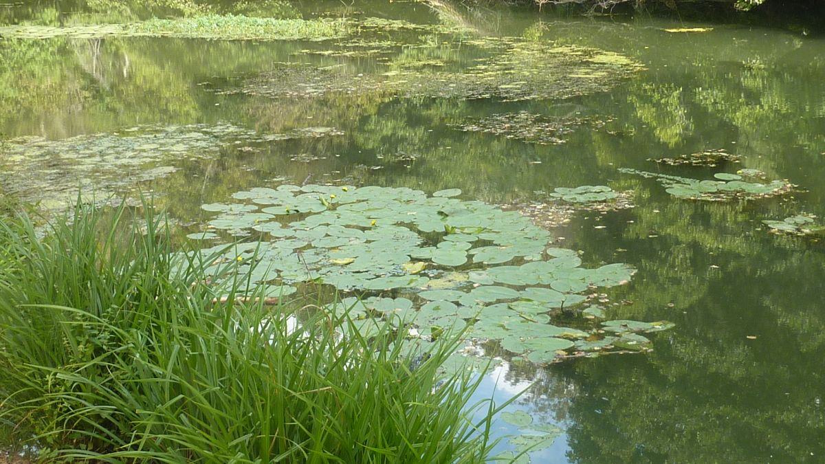 Carcès, le tour du lac