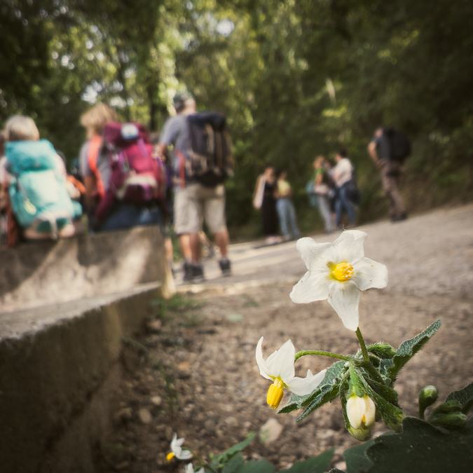 Carcès, le tour du lac