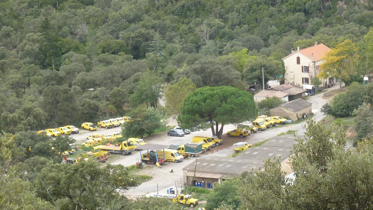 Forêt du Dom, le Révérencier