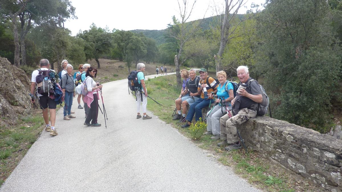 Forêt du Dom, le Révérencier