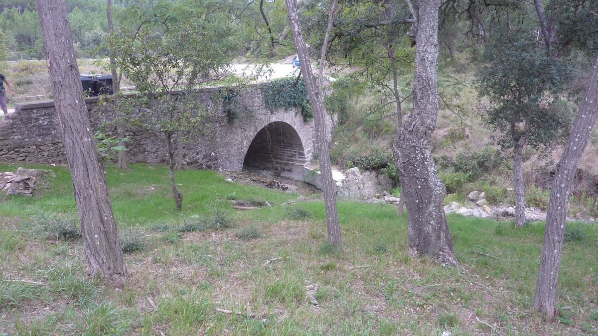 Forêt du Dom, le Révérencier