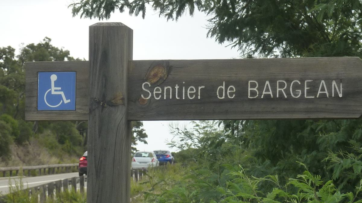 Forêt du Dom, le Révérencier