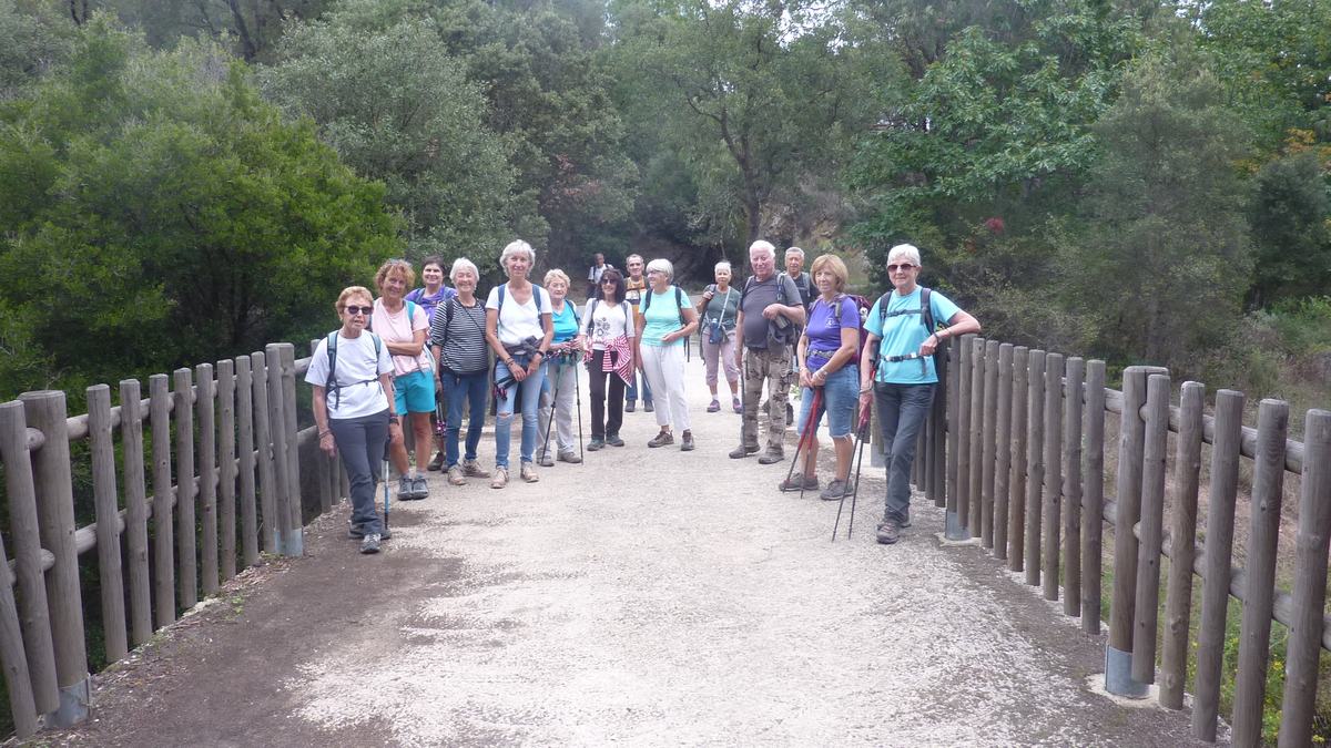 Forêt du Dom, le Révérencier