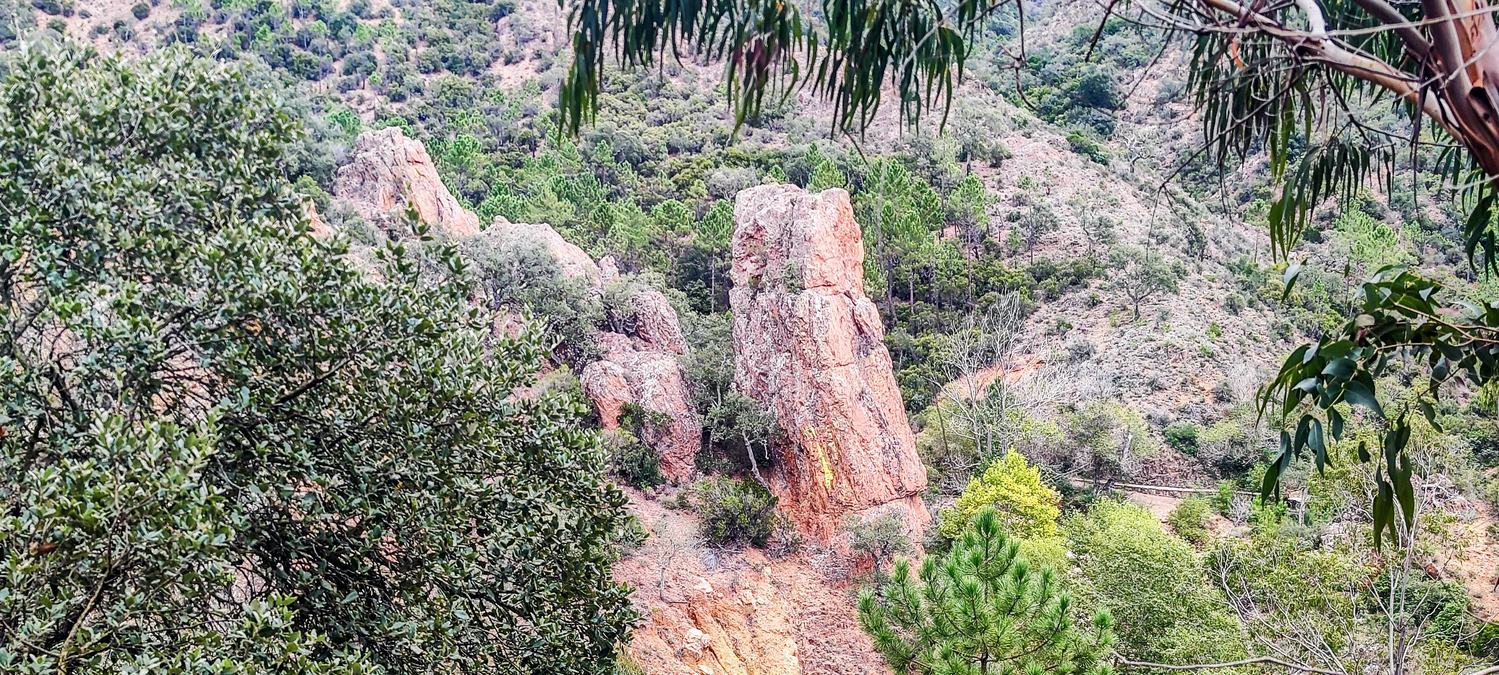 Estérel, vallon du Perthus