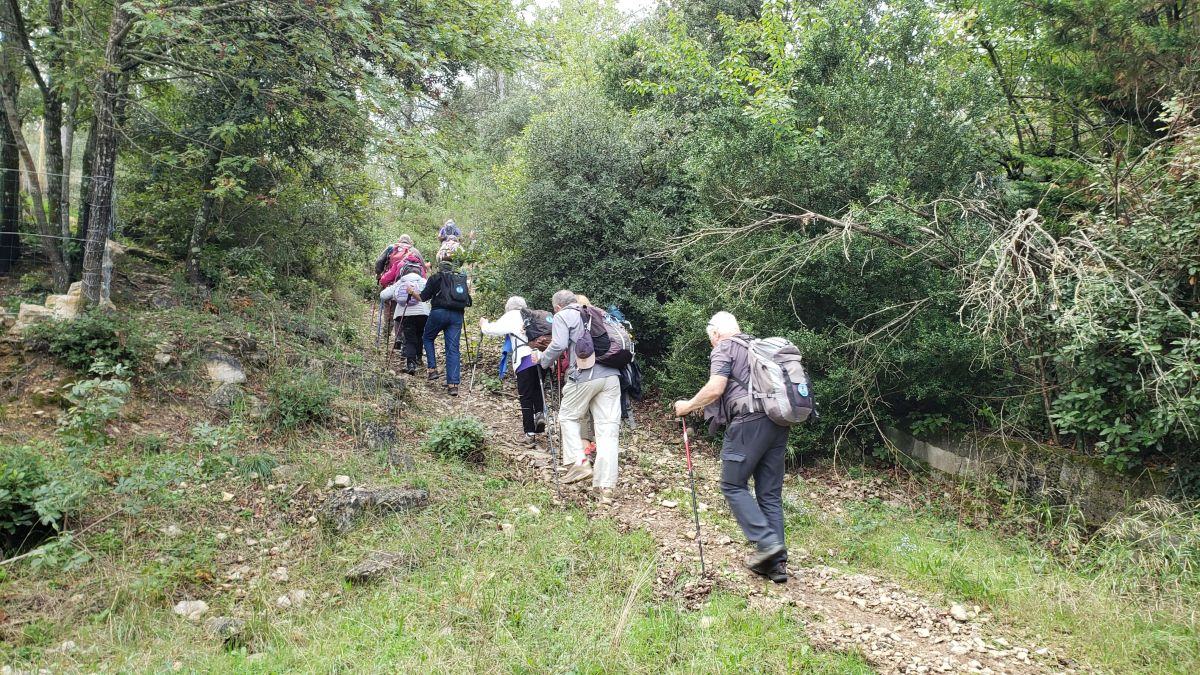 La Celle, vallon des Aurelles