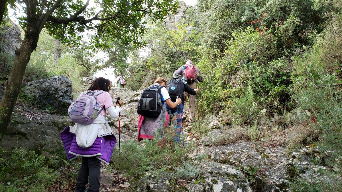 La Celle, vallon des Aurelles