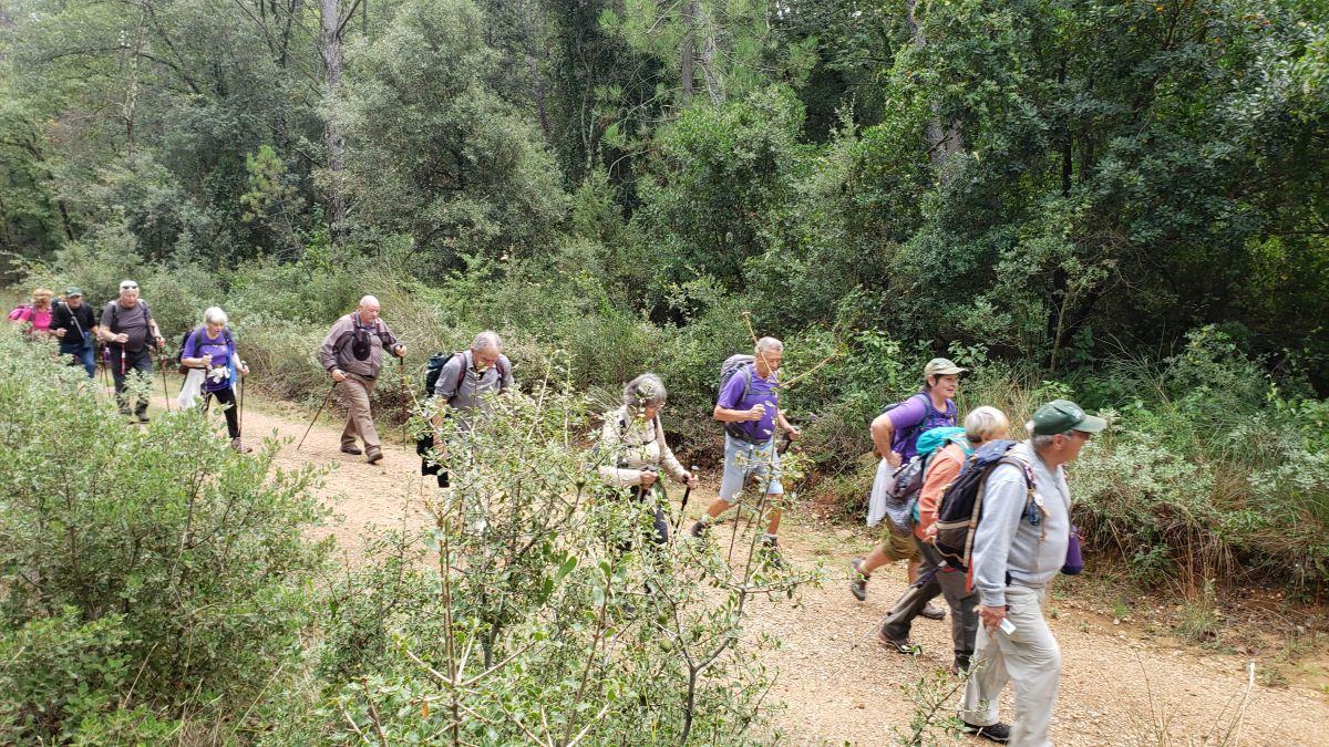 La Celle, vallon des Aurelles