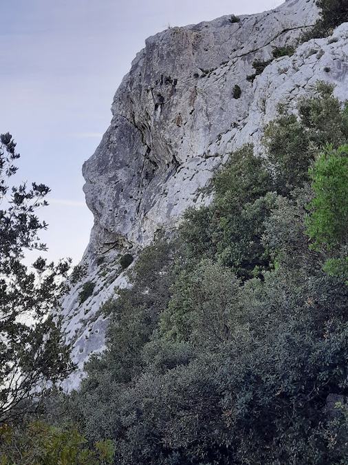 Solliès-Ville, le  Coudon