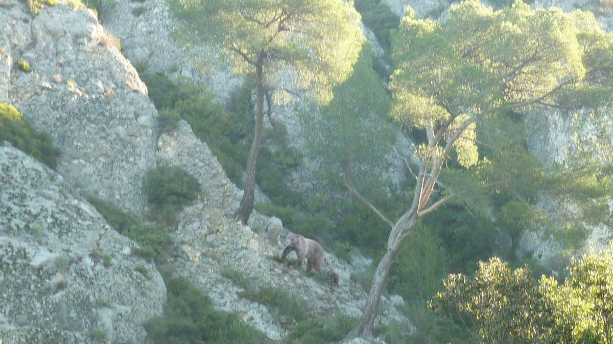 Gémenos, vallon de la Galère