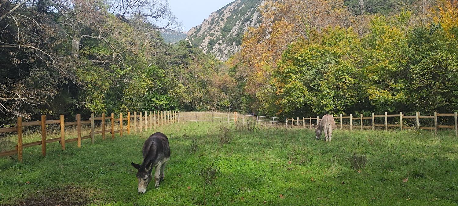 Gémenos, vallon de la Galère