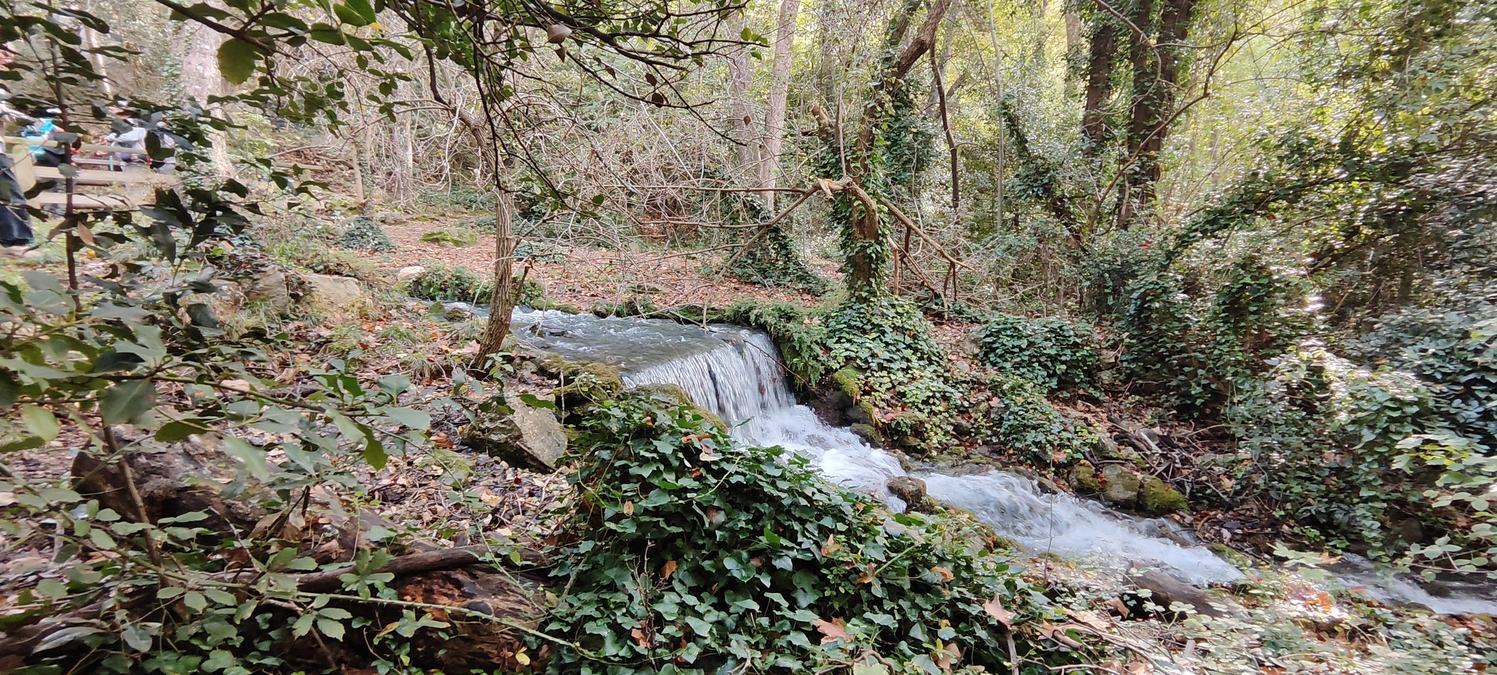 Gémenos, vallon de la Galère