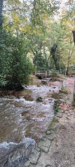 Gémenos, vallon de la Galère