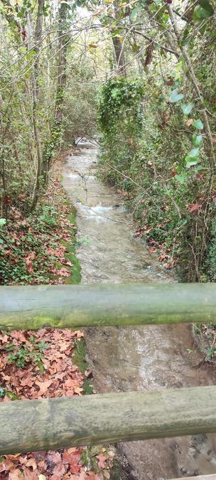 Gémenos, vallon de la Galère