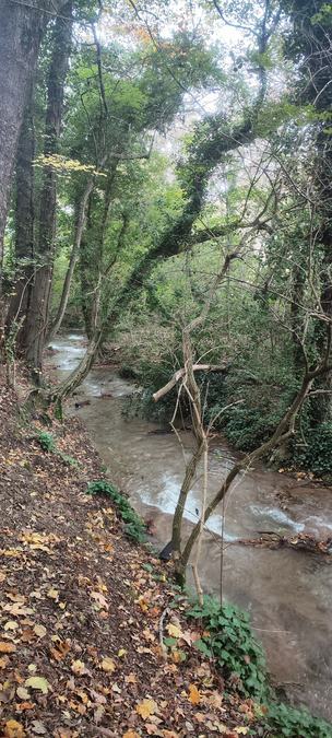 Gémenos, vallon de la Galère