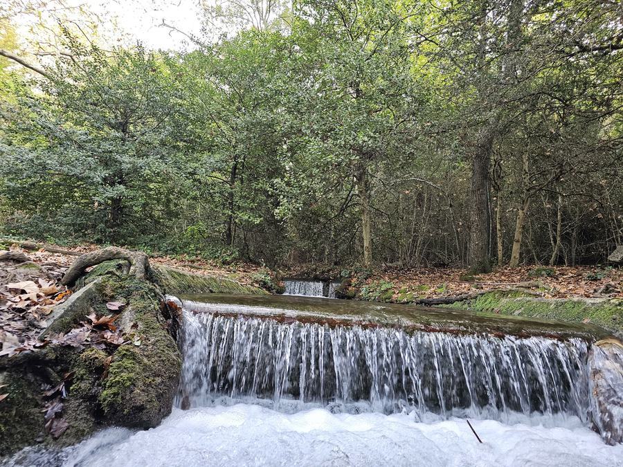 Gémenos, vallon de la Galère