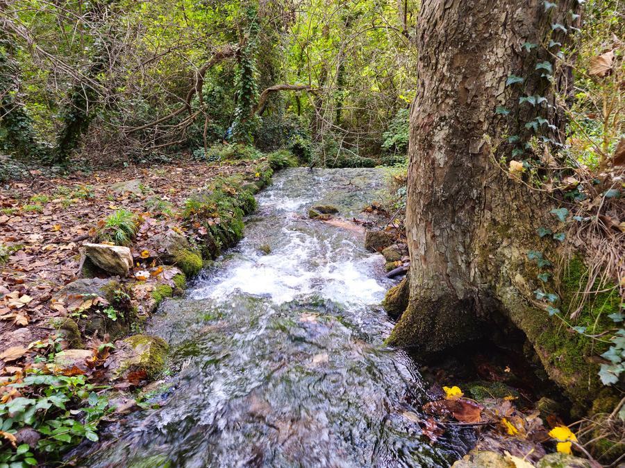 Gémenos, vallon de la Galère