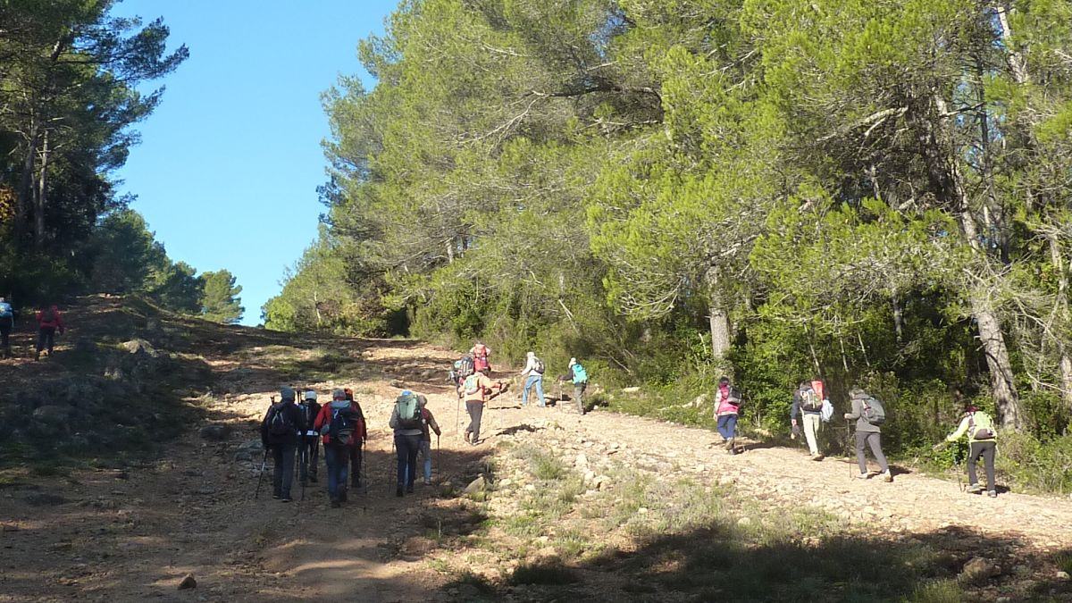 Brignoles, les dolmens