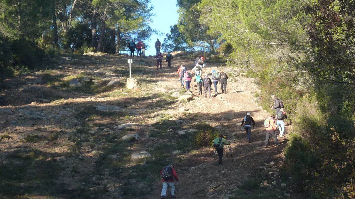 Brignoles, les dolmens