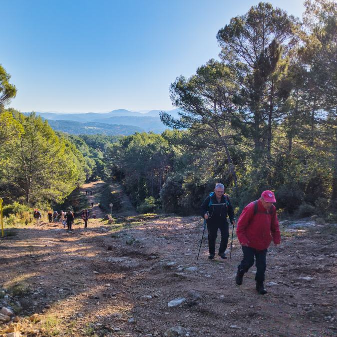 Brignoles, les dolmens