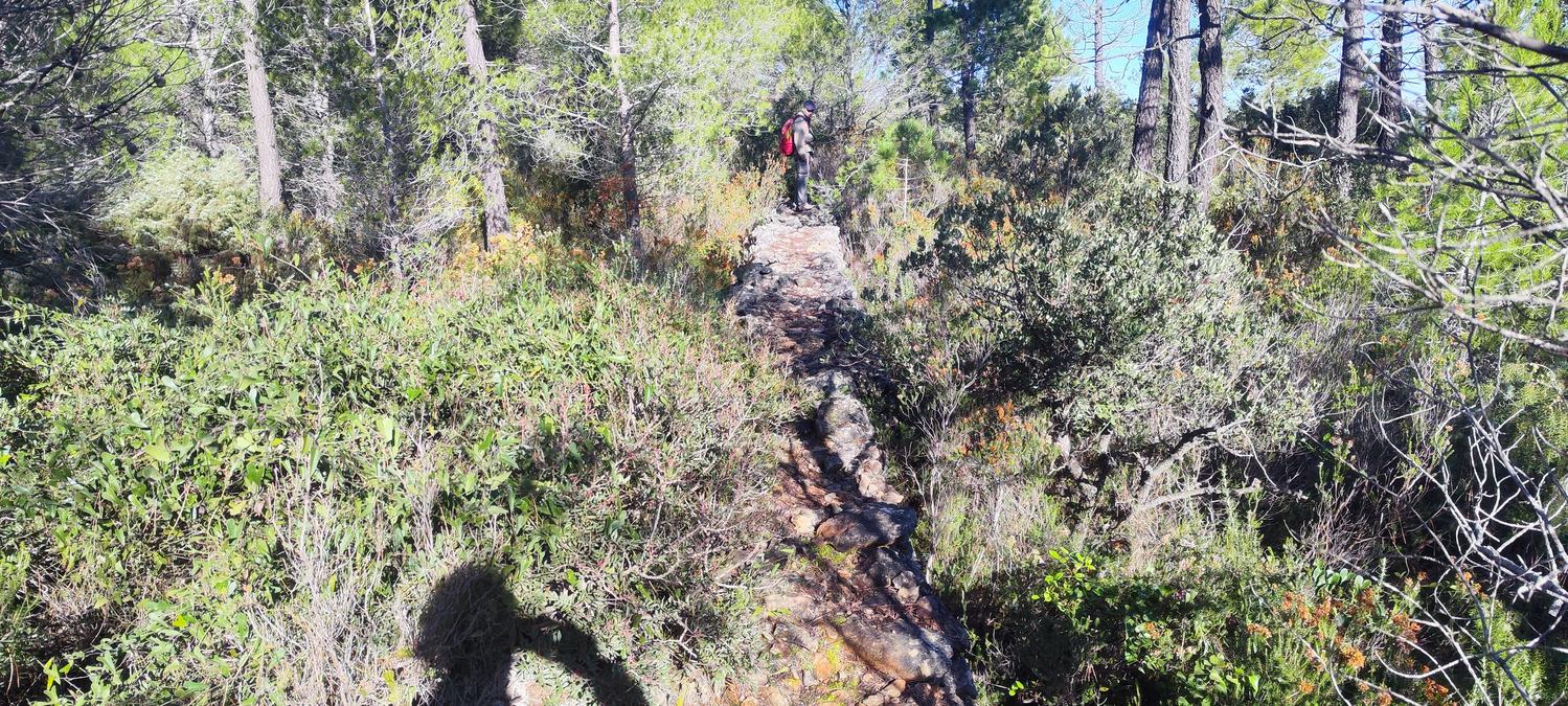 Brignoles, les dolmens