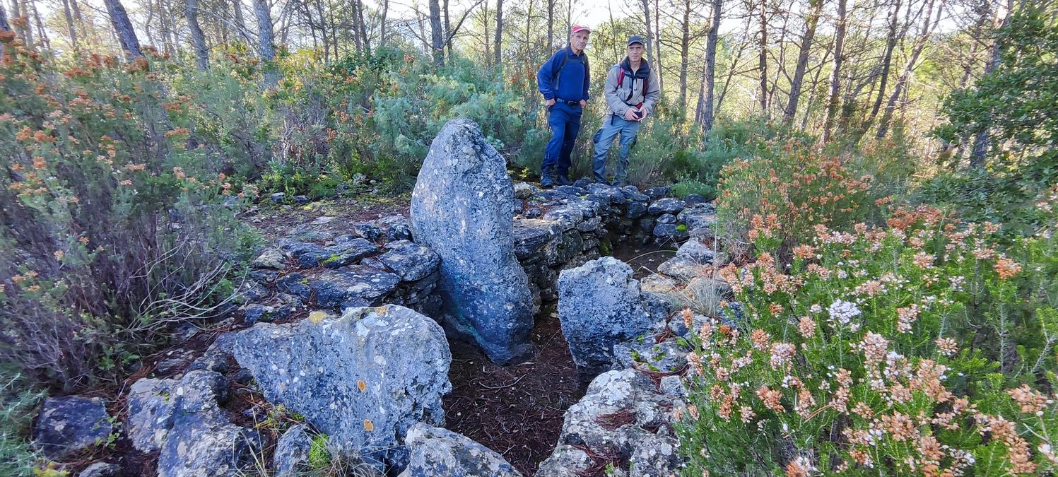 Brignoles, les dolmens