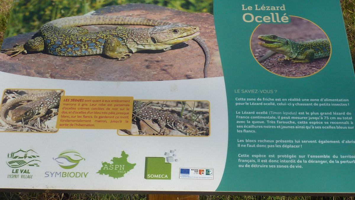 Brignoles, les dolmens