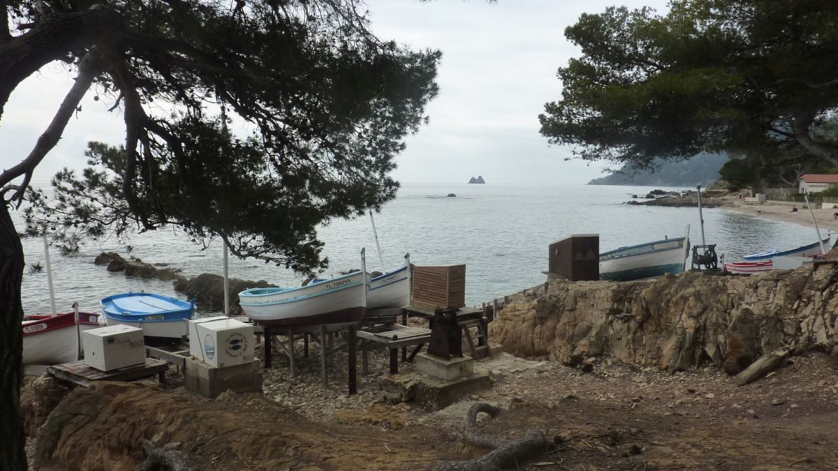 La Seyne, Mar Vivo