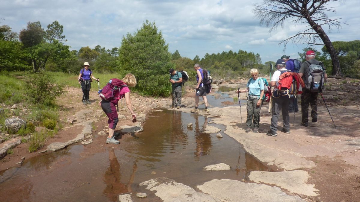 Vidauban, cascades de l’Aille