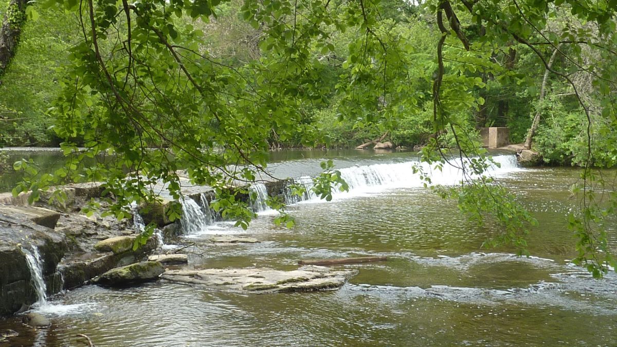 Vidauban, cascades de l’Aille