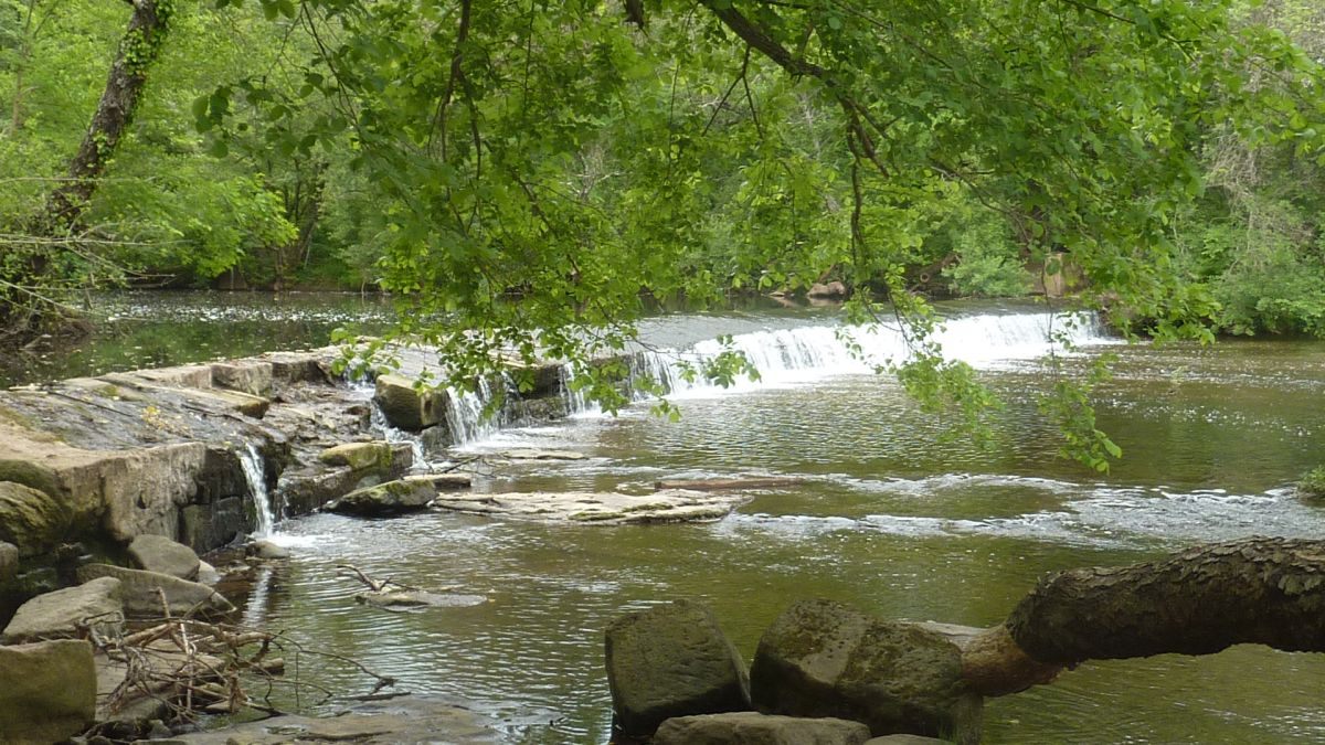 Vidauban, cascades de l’Aille