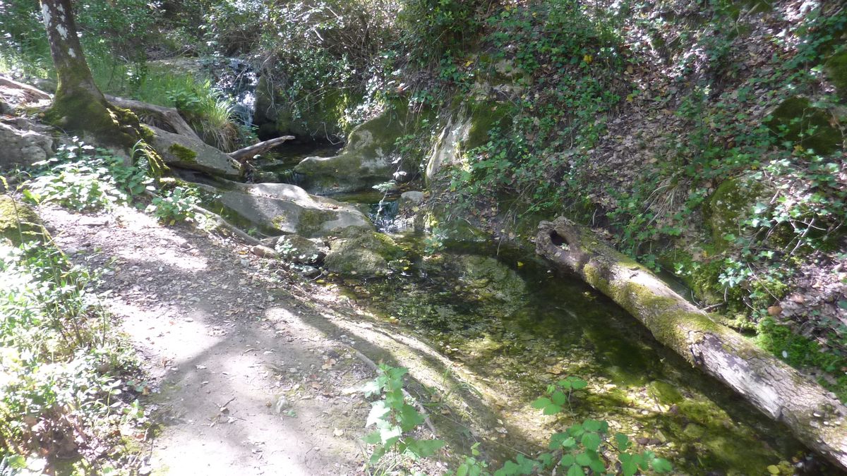 Pourrières, sentier de l’Aubenade