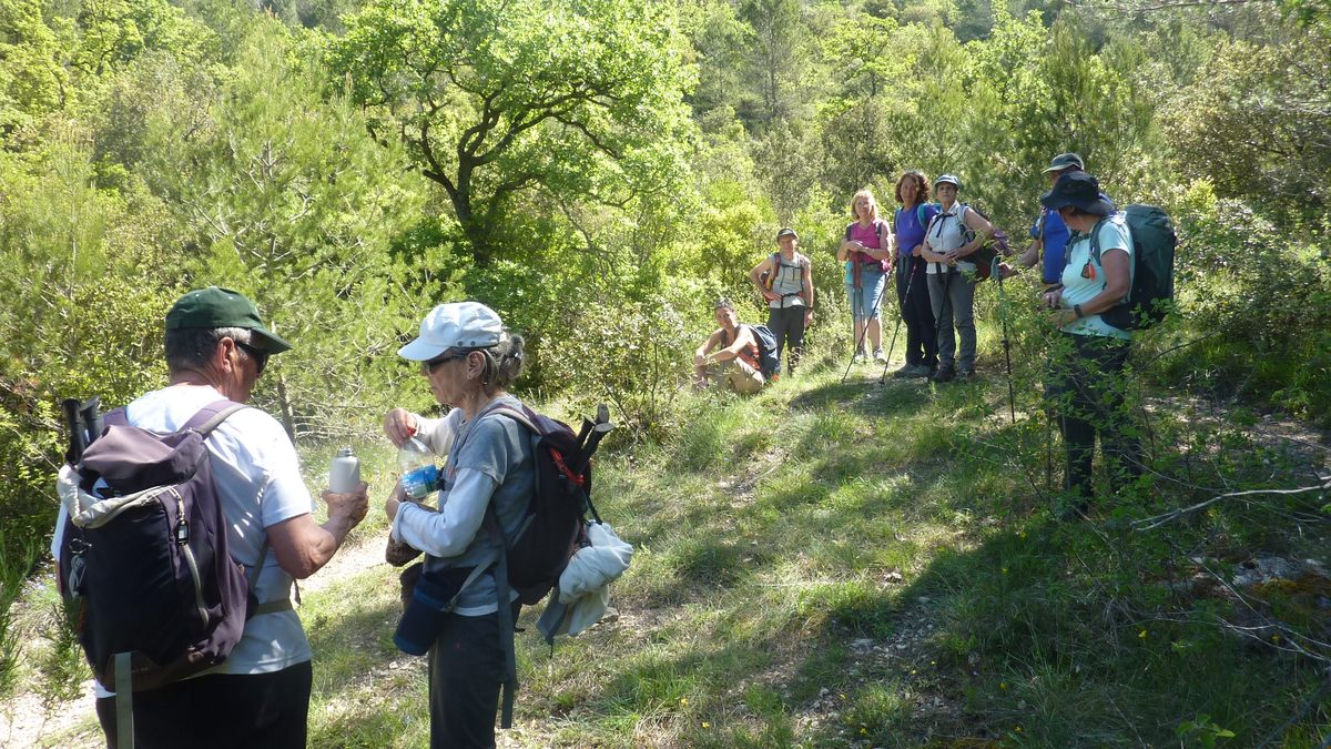 Pourrières, sentier de l’Aubenade