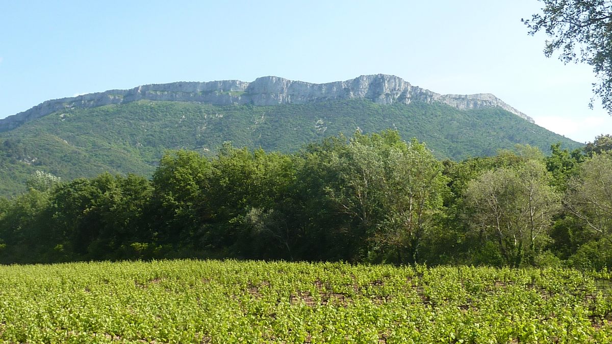 Pourrières, sentier de l’Aubenade